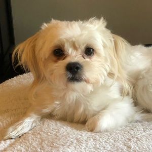 Meet your Posher, Jack